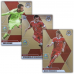 Блок карточек Panini Mosaic Euro 2020 / Набор 25 футбольных карт по Евро 2021 года