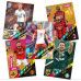 Panini / Пакетик футбольных карточек Adrenalyn XL 2024 FIFA 365