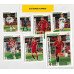 5 пакетиков (по 6 карточек в каждом) по коллекции Panini Road to Euro 2020 Adrenalyn XL