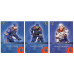СКА (Санкт-Петербург) комплект 17 базовых карточек 2020-21 SeReal КХЛ Premium 13 сезон.