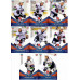 СИБИРЬ (Новосибирск) комплект 26 карточки 2011-2012 SeReal КХЛ 4 сезон.