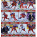 СБОРНАЯ РОССИИ комплект 55 хоккейных карточек 2016-17 MSC